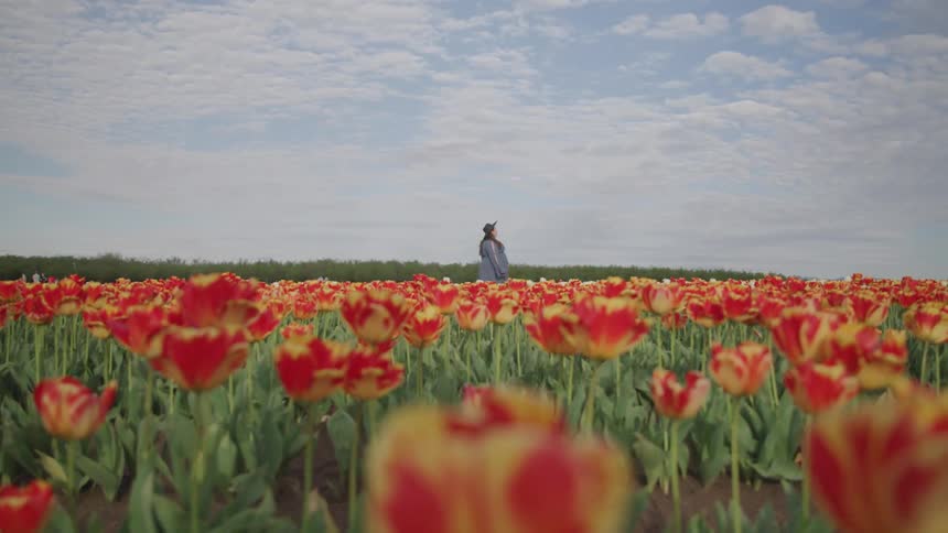 A woman in a sun hat walks through a field of blooming red and yellow flowers on a bright day