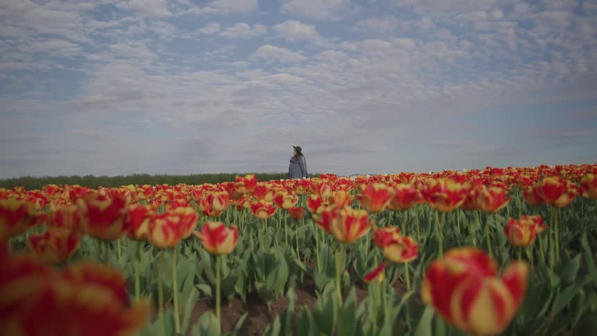A woman with a hat walking in a field of flowers with the sky in the background