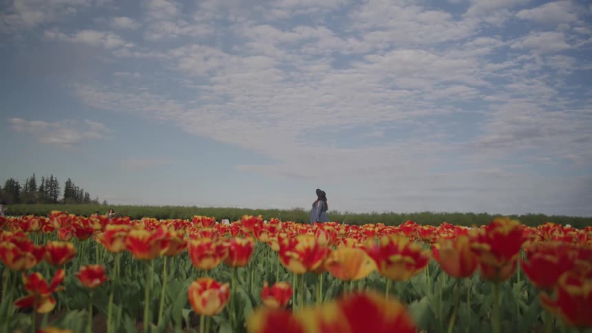A woman is walking through a meadow of flowers