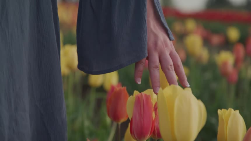 A woman is walking through a flower garden