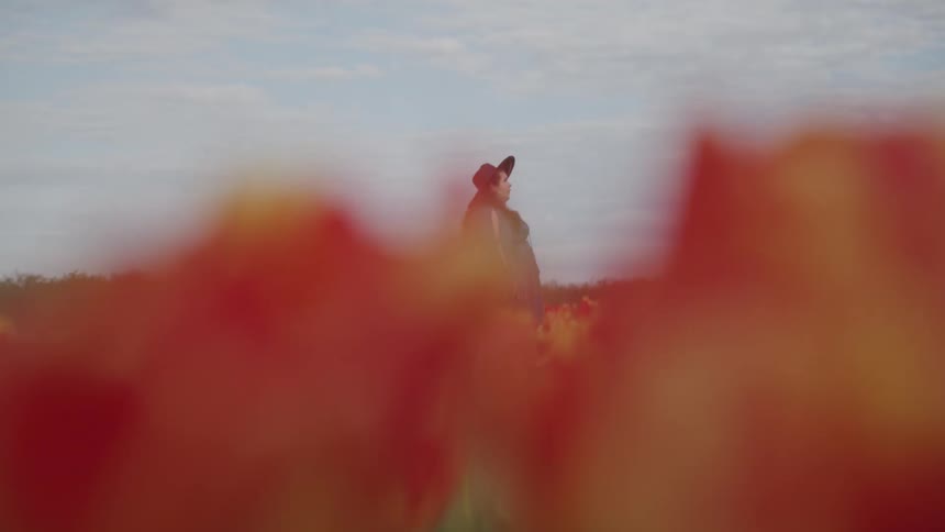 A woman is walking through a meadow of flowers