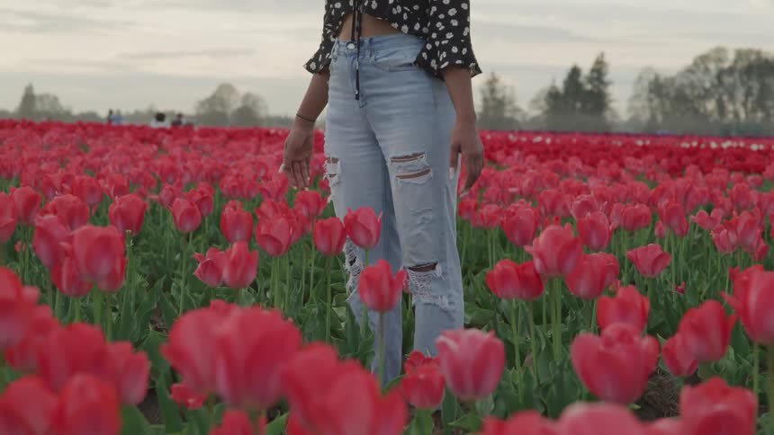 A woman stands motionlessly in a field of red flowers on a cloudy day