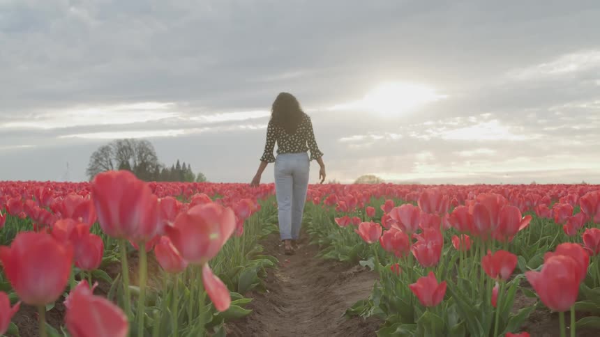 A woman is walking through a field of flowers