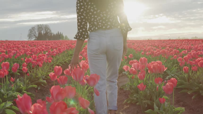 A woman walking in a field of flowers with the sky and clouds in the background