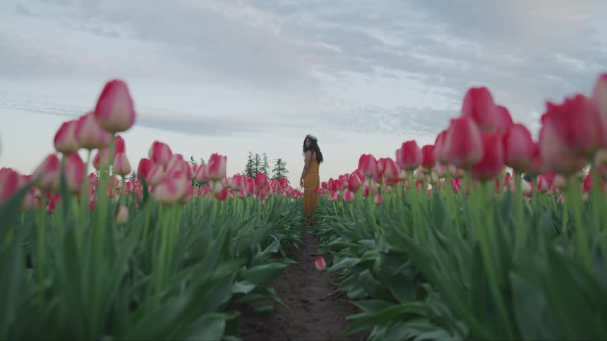 A woman standing in a field of tulips