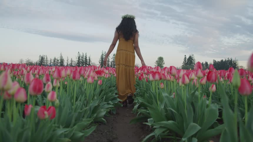 Young woman wearing a dress walks on a dirt path in a tulip field