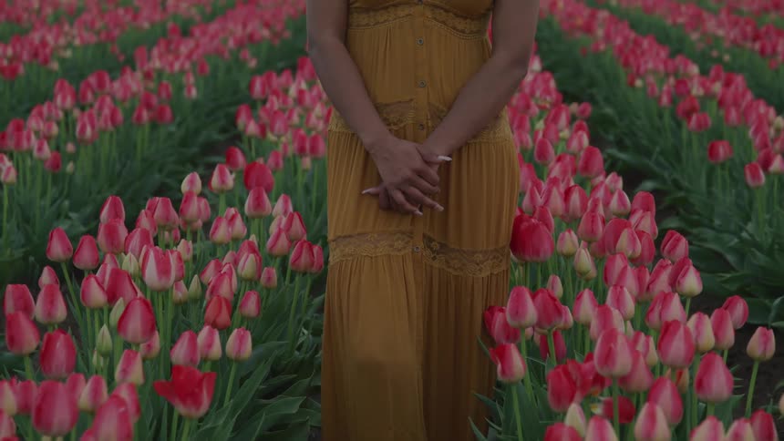 A woman is standing in a flower meadow