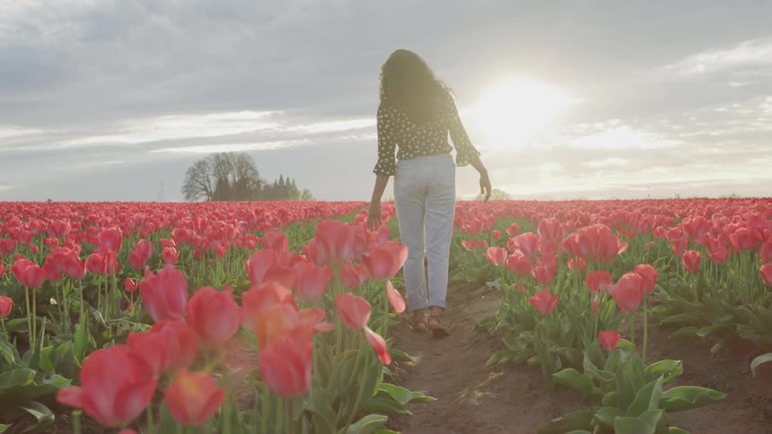 Woman walks between rows of flowers in field on flower plantation