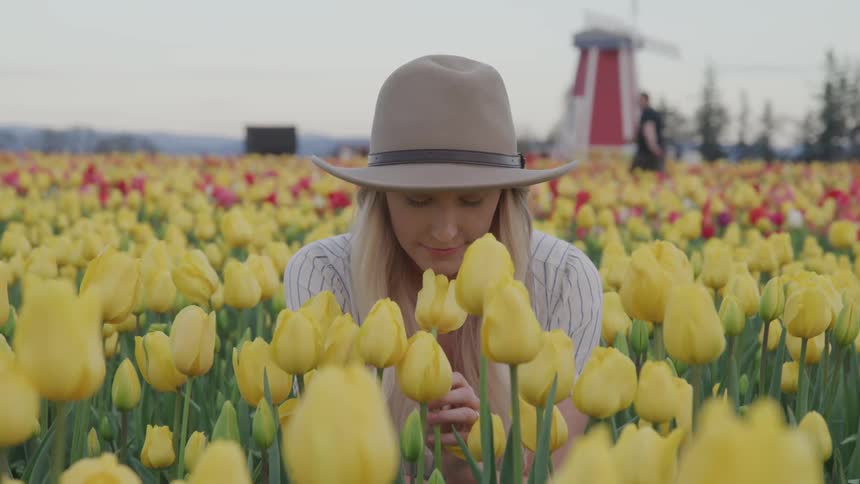 Young woman wearing a sun hat crouch in a yellow tulip field to smell the flowers