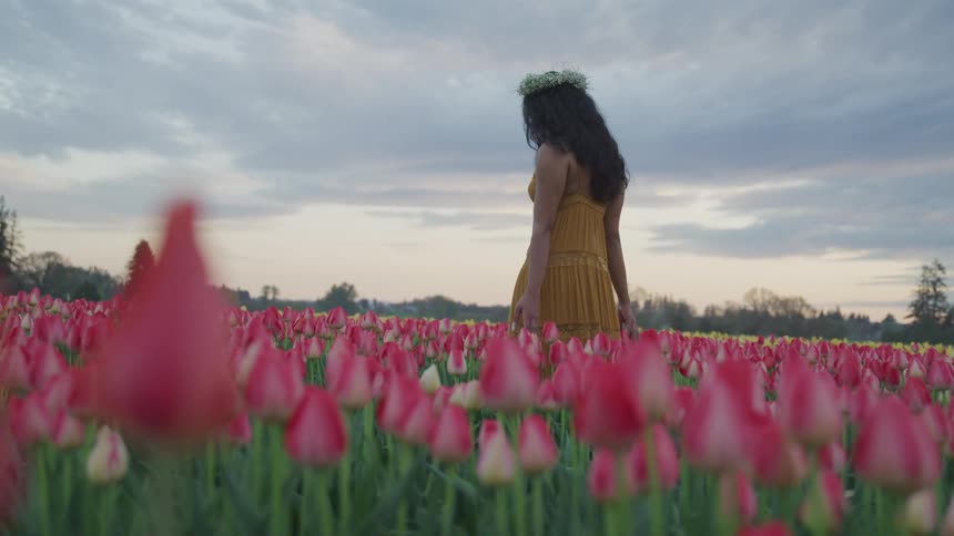 A woman walks through a field of pink flowers on a cloudy evening