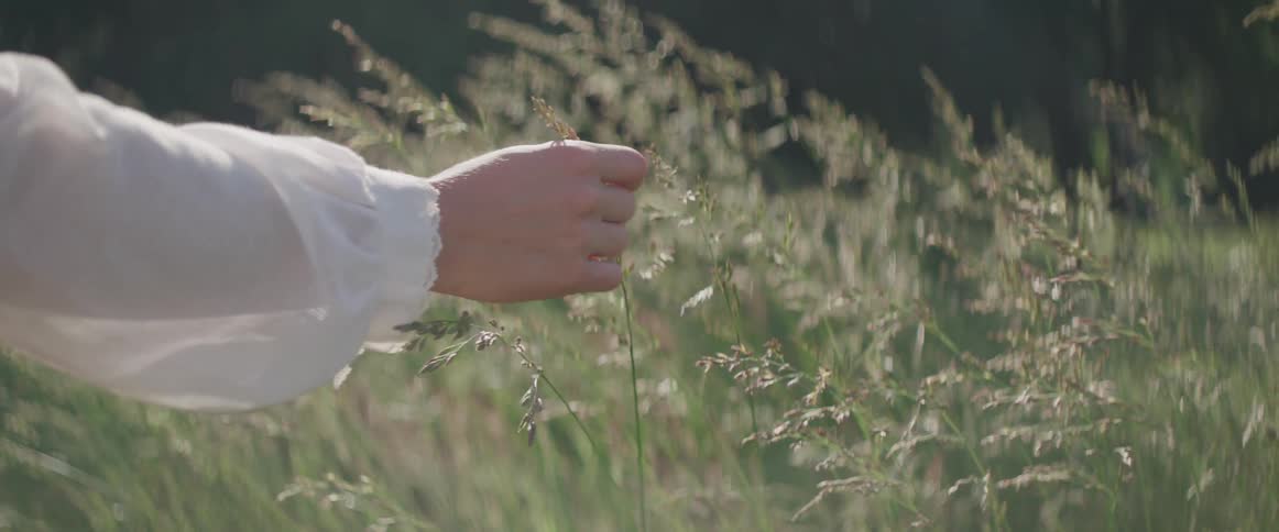 A woman in a grassy field touching plants with her hand