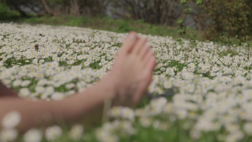 A person laying their leg on a field of flowers