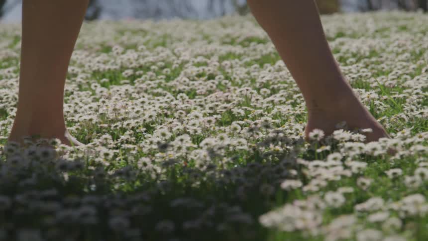 A woman is walking in a flower garden