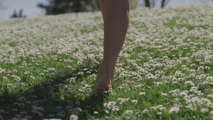 A woman is walking barefoot through a flower meadow