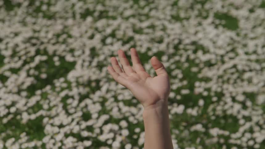 A womans hand with flowers plants and grass in the background