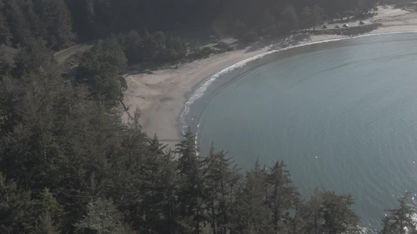 Aerial view of a forest on the shore with cars parked in a parking lot by the beach