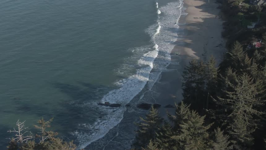 Aerial view of houses on a beach and waves rolling in