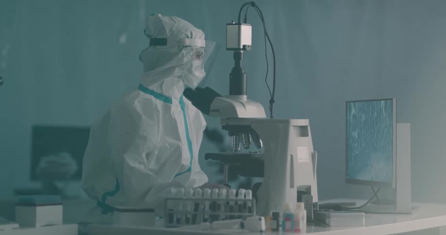 A woman in a lab looks at a computer screen
