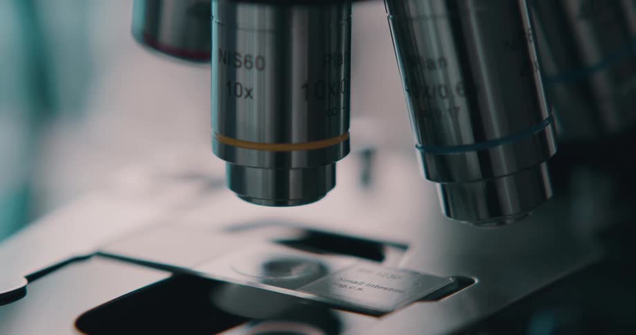 Glass slide with a blood sample under a microscope