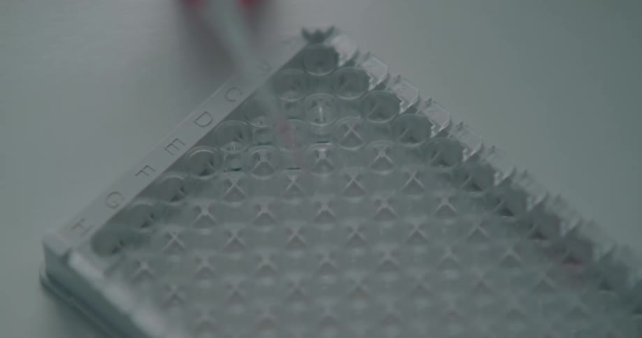 Medication is taken out of a bottle with a syringe and placed in a tray