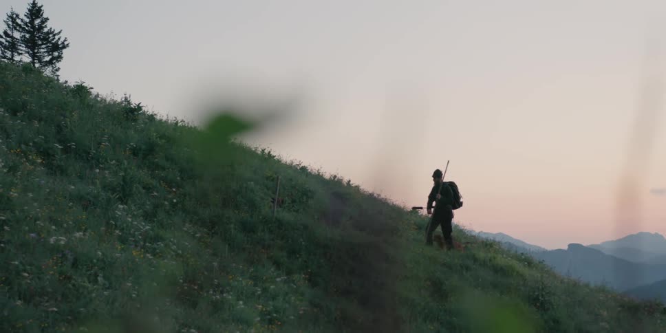 A man walking up a hill with his dog