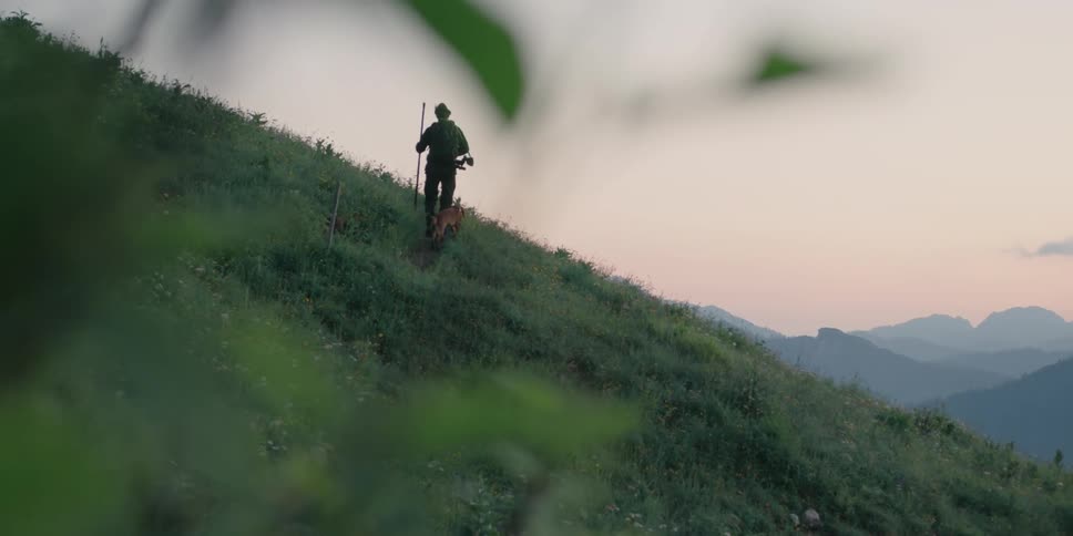 A hunter carrying a rifle walks on the green hills with his dog at sunset