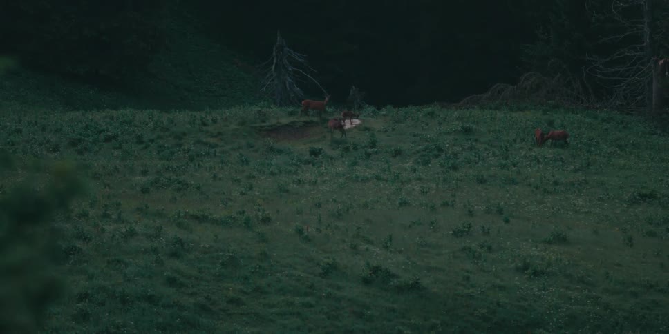 Deer grazing on a grassy meadow with trees and hills in the background