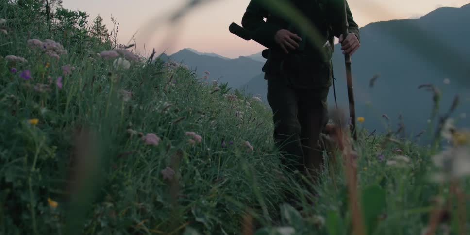 Hunter with a rifle uses a cane tow alk on the slopes of a mountain with his dog at sunrise