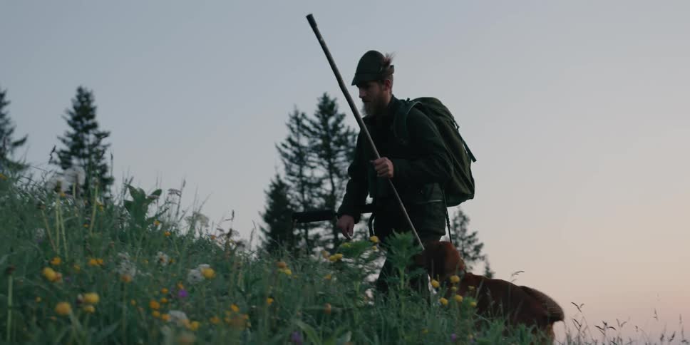 A hiker carrying a rifle leads a dog along as he hikes through the hills in the evening