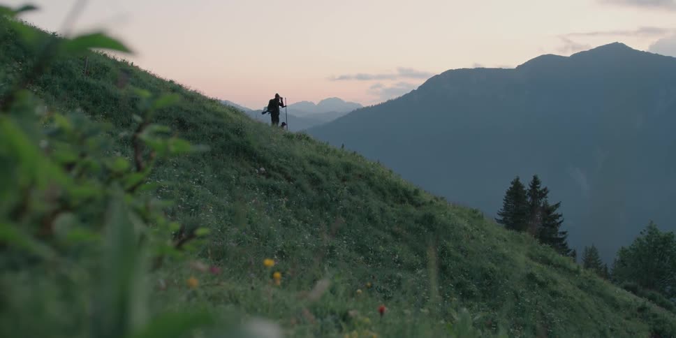 A person walking their dog at the top of a hill