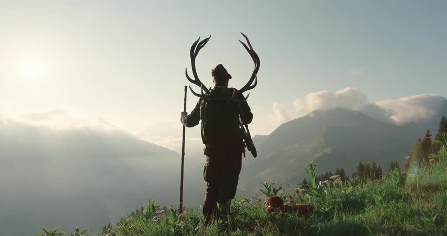 A man is hiking with his dog at dusk