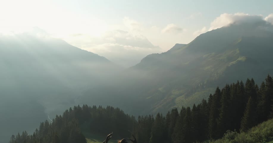 Man carrying antlers and gun stands in front of mountain range and forest
