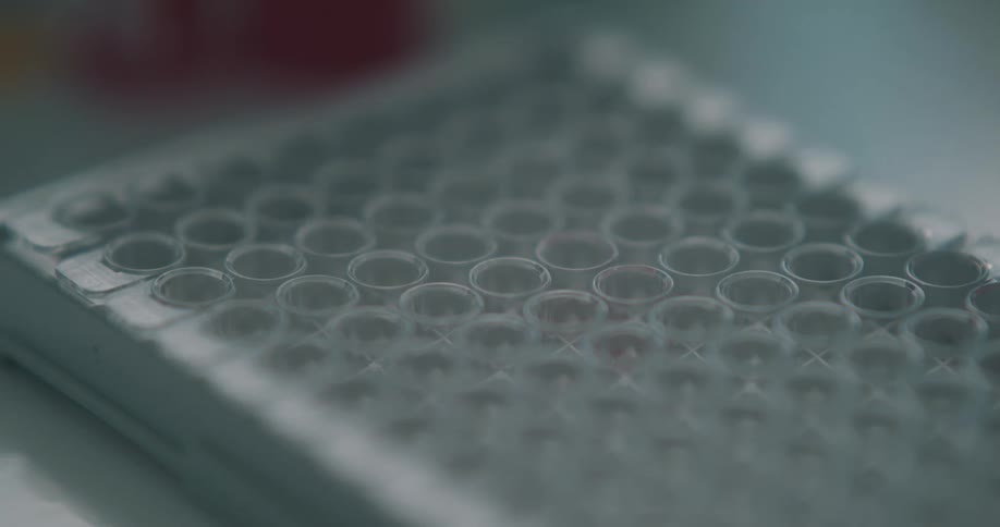 A purple liquid in an eyedropper is being placed into a tray of small vials in a laboratory