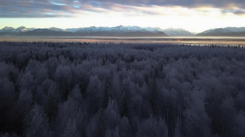 Aerial view of a forest in the plains near the snow covered peaks of a mountain range at sunset