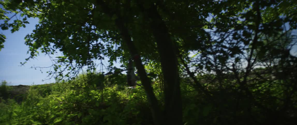 A person with a helmet riding a dirt bike on a dirt road with trees in the foreground and the sky in the background