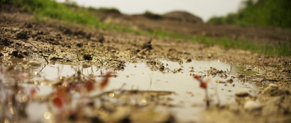 Puddle of mud reflects a passing motorcycle on a motorcross track outdoors