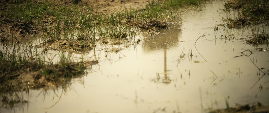 The sky and grass reflect off a large puddle in a field