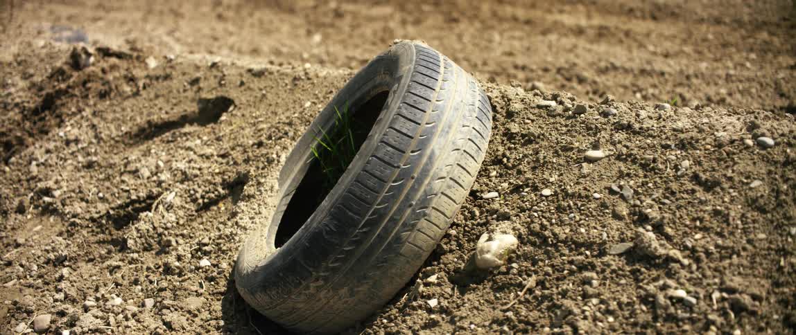 A plant growing within an abandoned tire in a mound of dirt