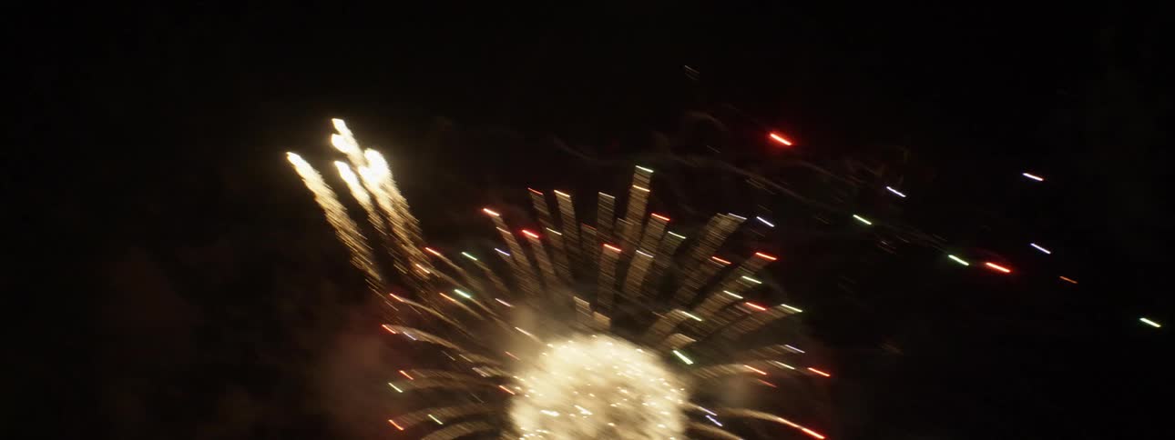 Fireworks display in night sky
