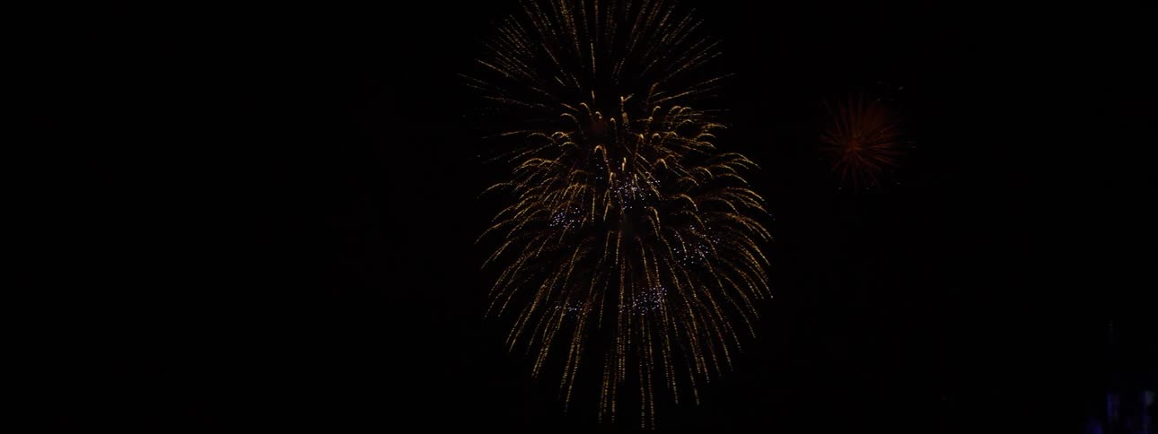 Fireworks in the night sky