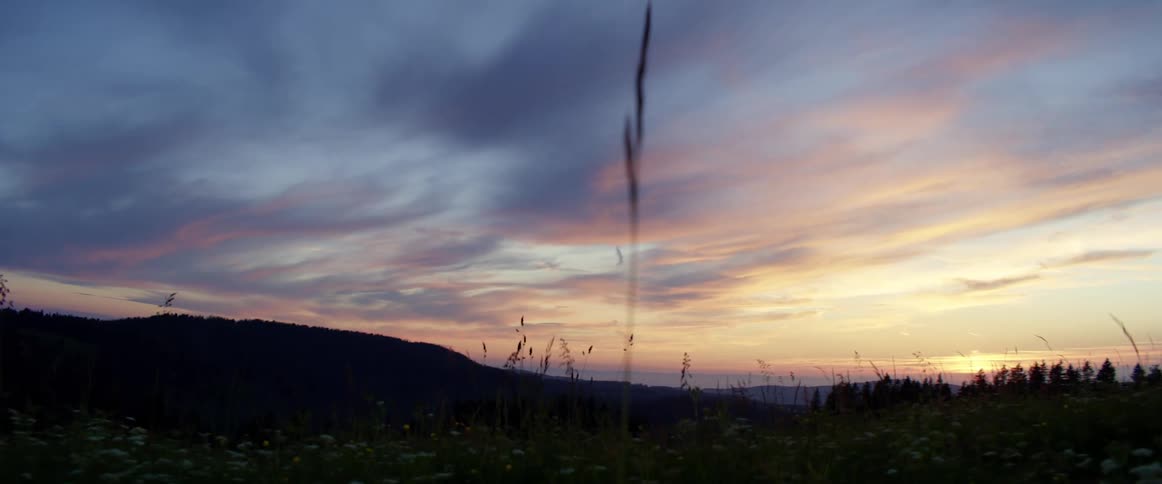 A ground level view of a grassy field with flowers and hills in the background at dusk