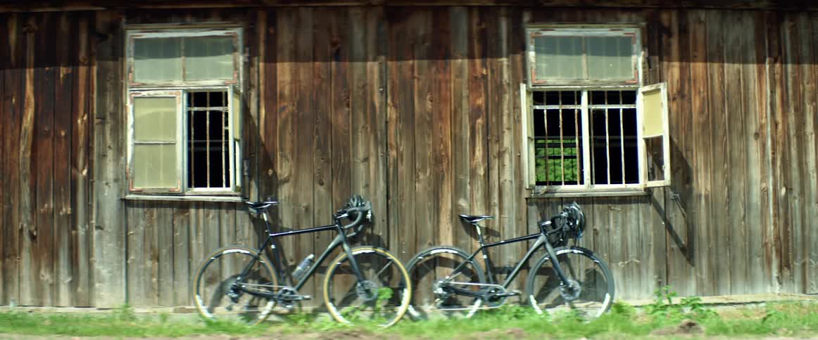 Two bicycles leaned up against a wall of a building with windows with plants in the foreground