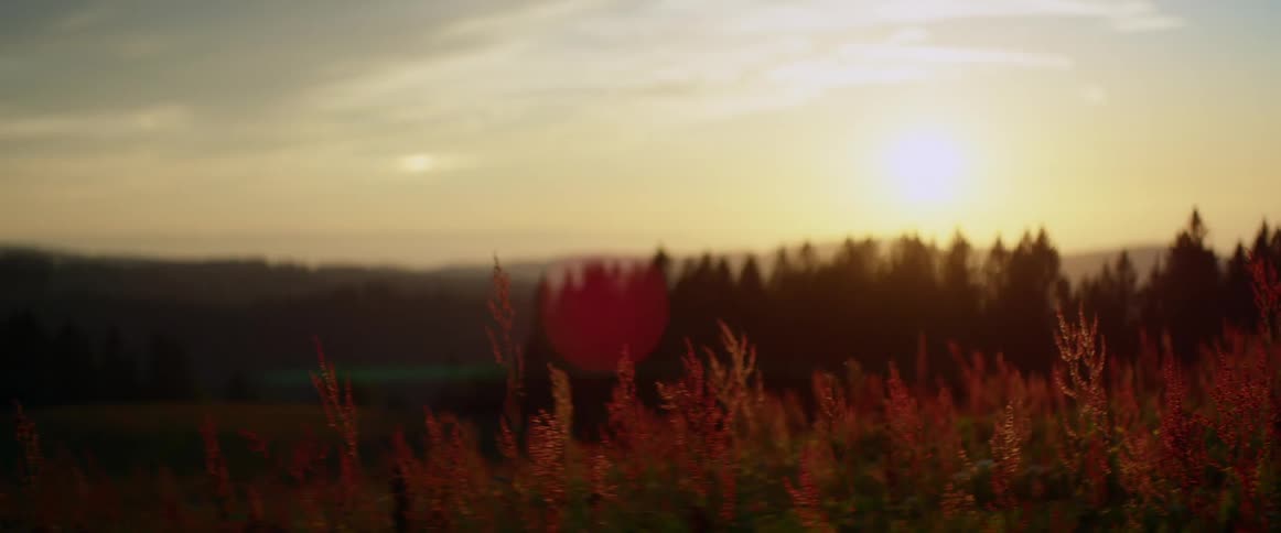 The sun setting over hills and trees in nature