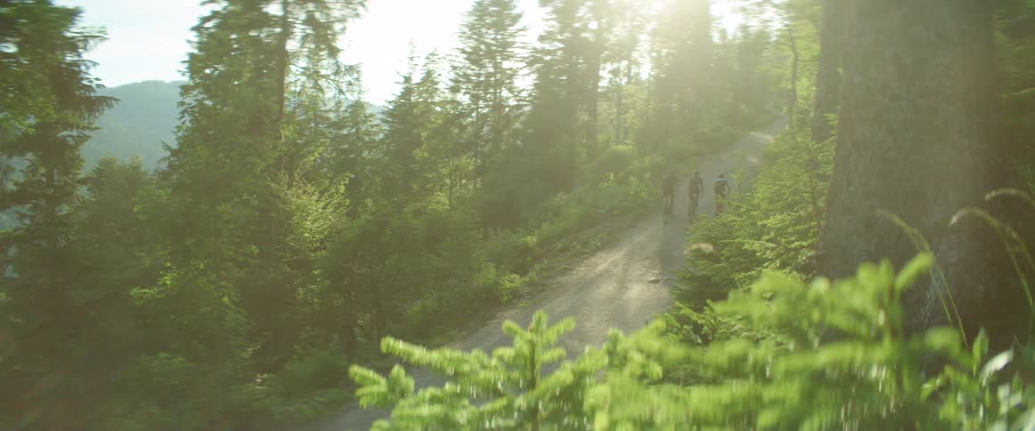 Three people are biking in a wooded area