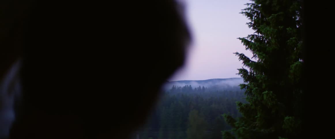 A person looks out of a window in a house near the forest in the mountains at sunset