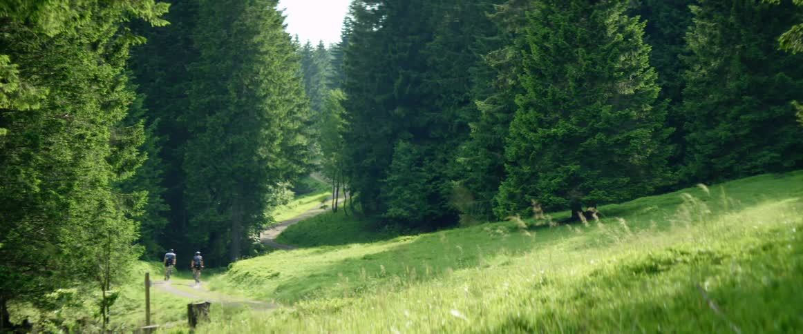 Two man riding mountain bicycles on a trail through the prairie next to the forest