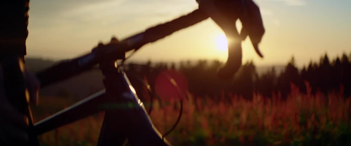 Sunlight filtering through the silhouette of the handlebars of a bicycle in the forest at susnet