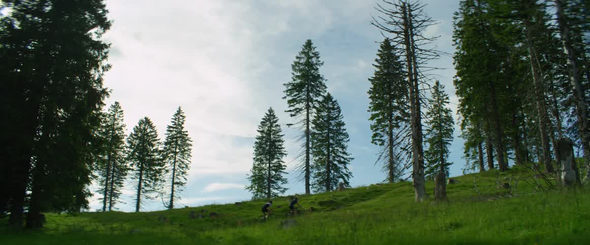 Two man ride mountain bicycles on a trail through the forest