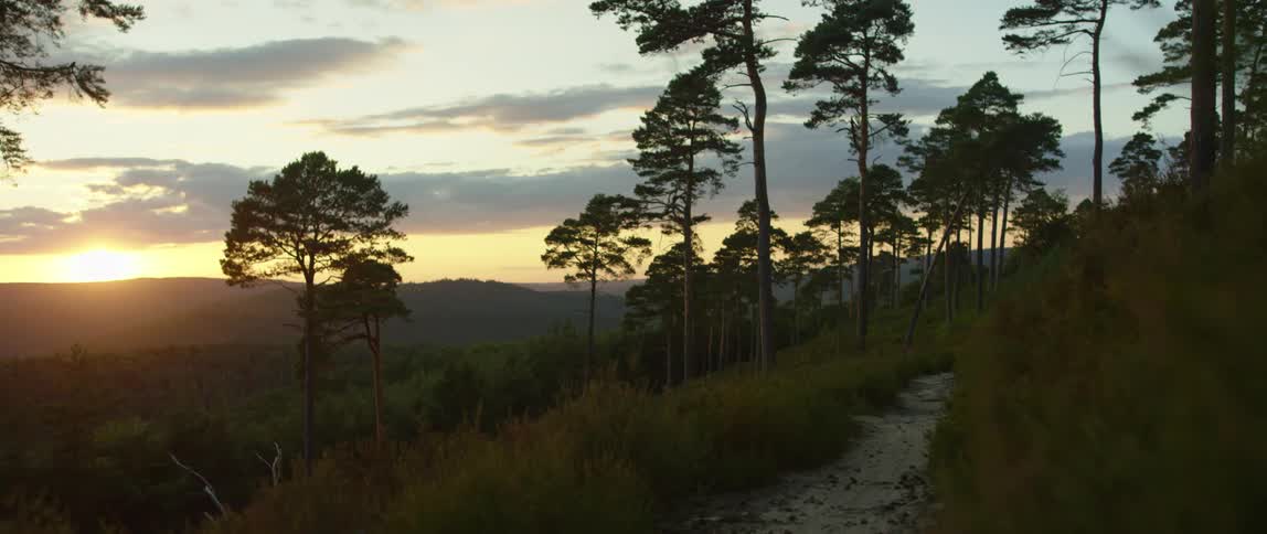 The sun is setting in the horizon during spring