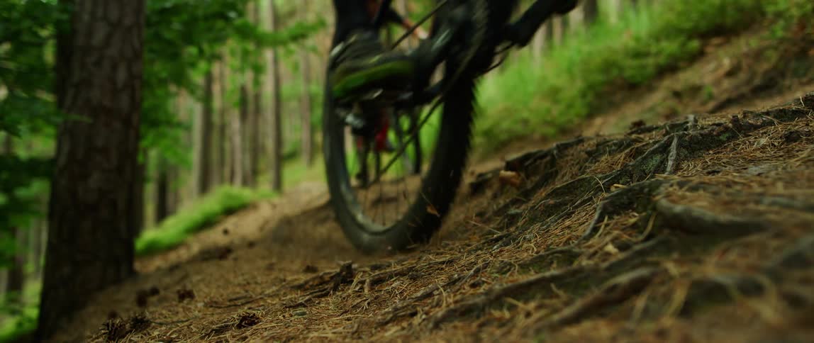 Two man drive dirt bicycles on a trail through the forest